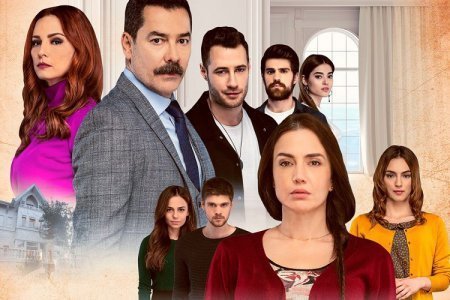 Турецкий сериал: Жестокий Стамбул / Zalim Istanbul (2019)